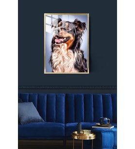 Köpek Çerçeveli Metal Poster Tablo