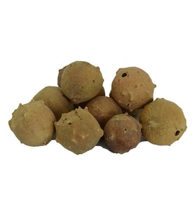Mazı Meyve Kozalağı Doğal 100 Gr Paket