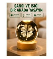 Mey İthalat® Yonca Figürlü Cam Küre USB Işıklı Ahşap Tabanlı Dekoratif Masa Lambası