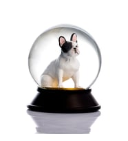 Snoowg Cam ve Reçine Altın Patiler Köpek French Bulldog (Beyaz) Kar Küresi Hediye