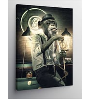 Kanvas Tablo Bilardo Oynayan Maymun