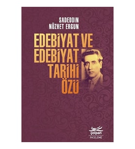 Edebiyat ve Edebiyat Tarihi Özü (Gri-Kırmızı)