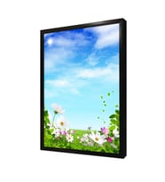 Papatya Çerçeveli Mdf Tablo
