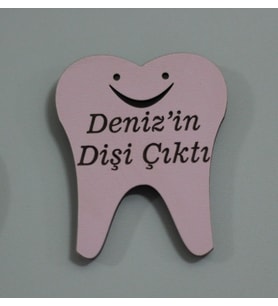 Magnet Diş Çıkaran Renk ve İsim Seçenekleri (40 Adet)