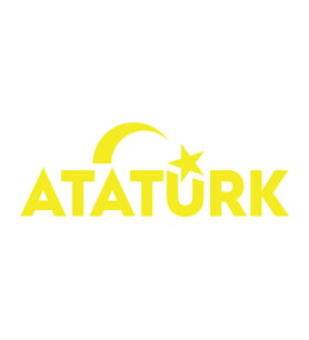 Atatürk yazısı ve Ayyıldız Sticker17x17 Cm Sarı