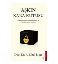 Aşkın Kara Kutusu