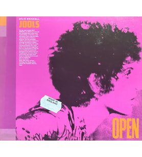 (Plak Değildir CD dir) CD Julie Driscoll Jools Open CD (Karışık)