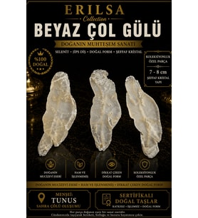 Sertifikalı Beyaz Çöl Gülü Selenit Taşı Kütle - 7-8 cm Şeffaf Kristal Yapı Koleksiyonluk Doğal Taş