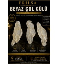 Sertifikalı Beyaz Çöl Gülü Selenit Taşı Kütle - 7-8 cm Şeffaf Kristal Yapı Koleksiyonluk Doğal Taş