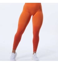 Alphalete Ombré Büzgülü Tayt