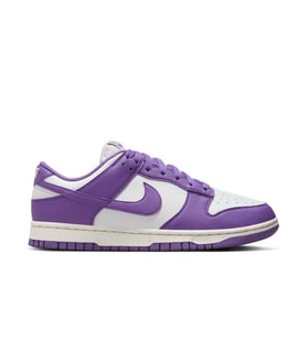 NİKE Dunk Low Next Nature DD1873-108