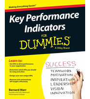 Key Performance Indicators For Dummies (Krem)