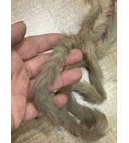 BOY 1.40 CM PELUŞ ŞERİT SÜT KAHVE ŞERİT PELUŞ DİKİŞ GİYİM AKSESUARI