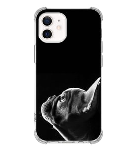 PrintiFy Apple iPhone 12 Mini Uyumlu Köpek 1 Baskılı Şeffaf Köşe Korumalı Antişok Kılıf
