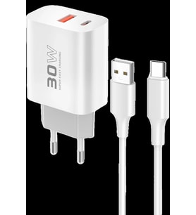 Pilelistore   C89Q 1 Adet 30W Type-C ve 1 Adet 22.5W USB Çıkışlı Ekstra DL49 1M USB to Type-C Kablol