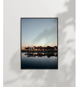 Gölde Su İçen Zebralar Poster