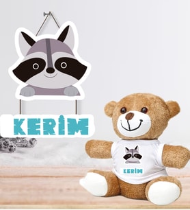 Kişiye Özel Bebek Kapı Süsü ve Peluş Ayıcık Seti – Baby Shower / Hastane Odası