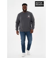 Erkek Büyük Beden Yelken Baskılı Bisiklet Yaka Sweatshirt SPR26BSW956-11 (Füme)