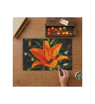 Turuncu Lilyu - Portakal Zambağı Tasarımı 240 parça Ahşap Puzzle Ahşap Kutuda MP05459