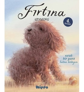 Fırtına