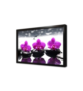 Spa Taşları ve Orkide Çerçeveli Mdf Tablo