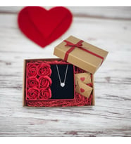 Love Forever Hediye Kutusunda Zirkon Kalpli Çelik Kolye ve Seni Seviyorum Yazlı Notlar