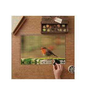Ardıç Kuşu - Minik Güzel Kuş Tasarımı 240 parça Ahşap Puzzle Ahşap Kutuda MP06084