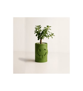 Alvera Emoji Planter – 3D Baskı Göz Kırpan Yüzlü Minik Yeşil Saksısı-Yeşil