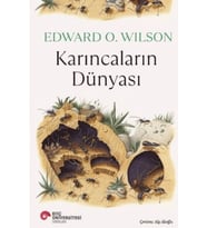 Karıncaların Dünyası