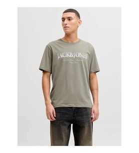 Jack & Jones Jjdevın Daytona Prınt Tee Gri Erkek T-Shirt 12290173
