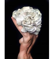 Çiçeklenmek ve Nude Sayılarla Boyama Seti(40x50 cm Tuval Şasesine Gerili)