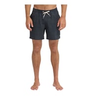 Quiksilver Erkek Likralı Deniz Şortu EQYJV04217
