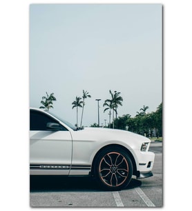 Cakatablo  Beyaz Ford Mustang Sağ Ön Detay MDF Tablo
