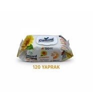 Concord Islak Mendil 120 Adet - Alkol içermez - pH Dengeli - Akdeniz Esintisi