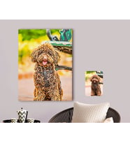 BK Gift Kişiye Özel Tam Boy Köpek Karikatürlü Kanvas Tablo 70x100cm-1