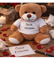 Özür Dilerim Tişörtlü Oyuncak Ayıcık