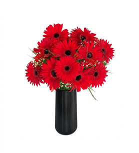Siyah Çizgili Polimer Vazoda Kırmızı Gerbera Aranjımanı