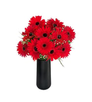 Siyah Çizgili Polimer Vazoda Kırmızı Gerbera Aranjımanı