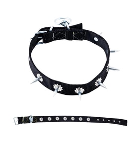 Dokuma Çivili Köpek Boyun Tasması - 4*70 cm - Siyah