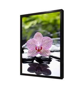 Spa Taşları ve Orkide Çerçeveli Mdf Tablo