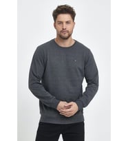 Erkek Antrasit Bisiklet Yaka Nakış Detaylı  Regular Fit Sweatshirt CMRE70
