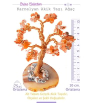 Sertifikalı Gerçek Karnelyan - Karneol Akik Taşı Ağaç - Akik Plakalı (Çok Renkli)