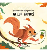 Ormandaki Hayvanlar Neler Yapar?