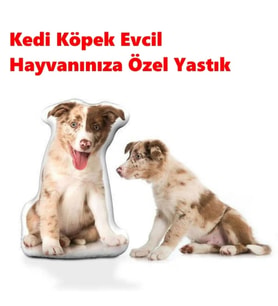 Kedi Köpek Evcil Hayvanınıza Özel Yastık - Kişiye Özel