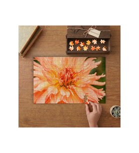 Turuncu Dahlia Çiçeği Tasarımı 240 parça Ahşap Puzzle Ahşap Kutuda MP00996