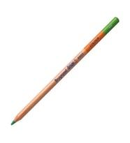 BRUYNZEEL DESING COLOUR KURU BOYA KALEMİ - LIGHT GREEN- B880560K