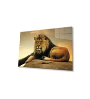 Aslan Cam Tablo 4mm Dayanıklı Temperli Cam (Çok Renkli)