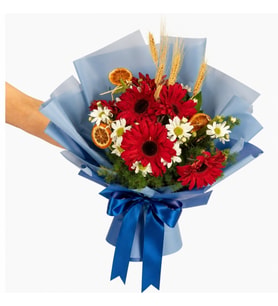 Fetiye gerbera