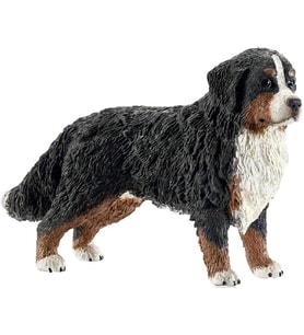 Schleich Farm World Dişi Bernese (Krem)
