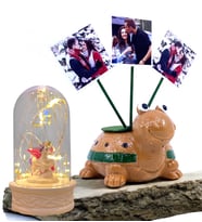 Sizlere Özel Hediye Seti 3 Fotoğraflı Sevimli Kaplumbağa ve Led Işıklı Fanus (Model 2)